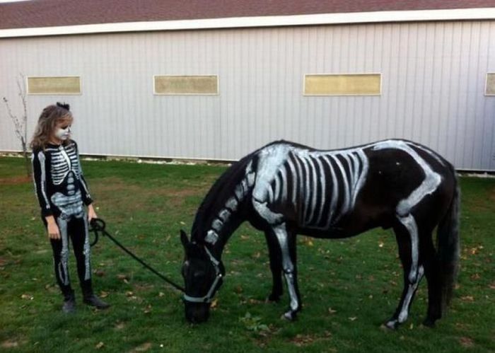 PUBLISHED by catsmob.com