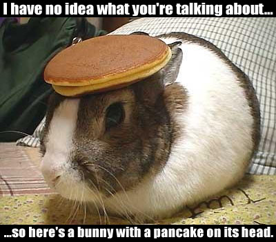 pancakebunny